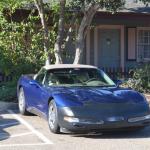 CambriaCN_122 (October 25, 2014)